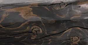 Sashco Transformation Log & Timber stain color — Dark Walnut