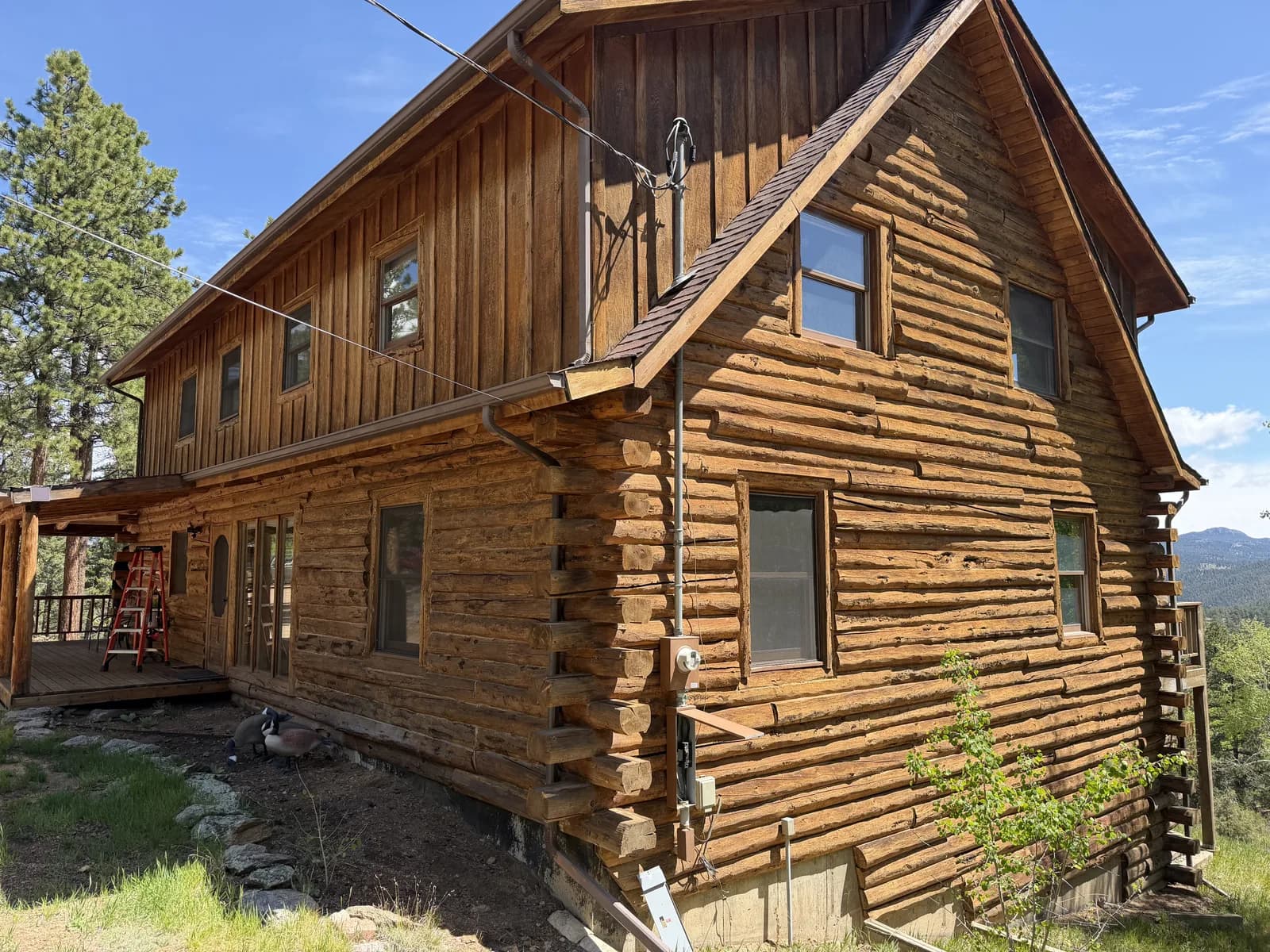 Log Home Exterior Restoration In Progress Two-story log home with vertical board-and-batten and full-log walls mid-restoration, a work ladder against the wall, in a forested Colorado mountain setting