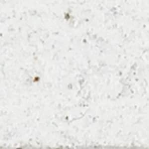 Sashco Log Jam chinking color swatch — White White