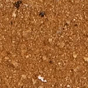 Sashco Log Jam chinking color swatch — Woodtone Cedar