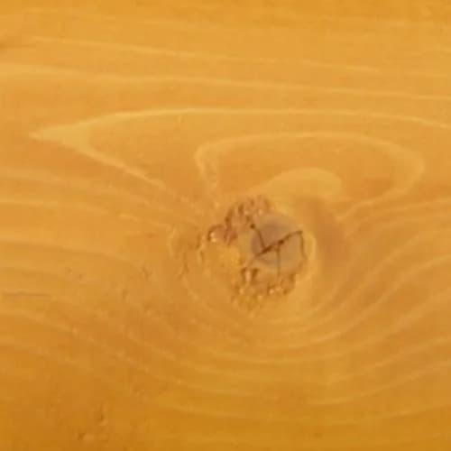 Perma-Chink Lifeline Ultra-2 log home stain color — Autumn Gold #815