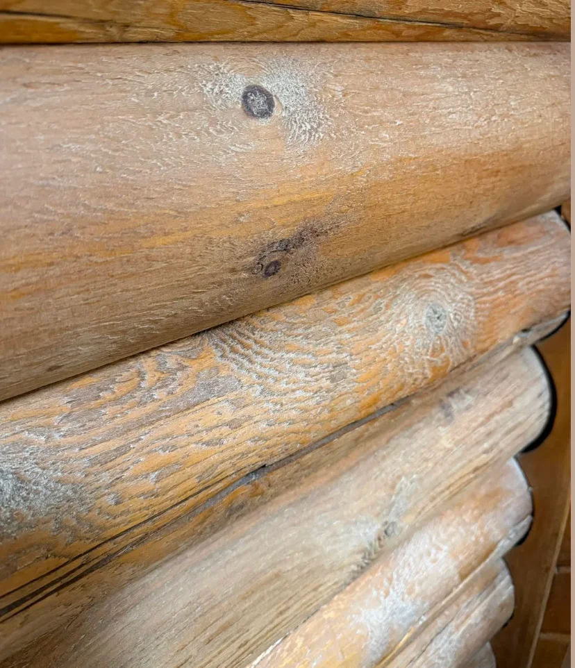 Close-up of round log interior wall showing heavy white mineral deposits and grey water damage residue across multiple log surfaces, with visible deterioration of the wood finish