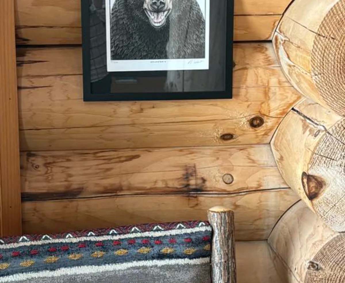 Swedish cope log home living area showing water stain damage on interior walls with dark tannin bleeding visible between log courses, alongside rustic furniture and decor