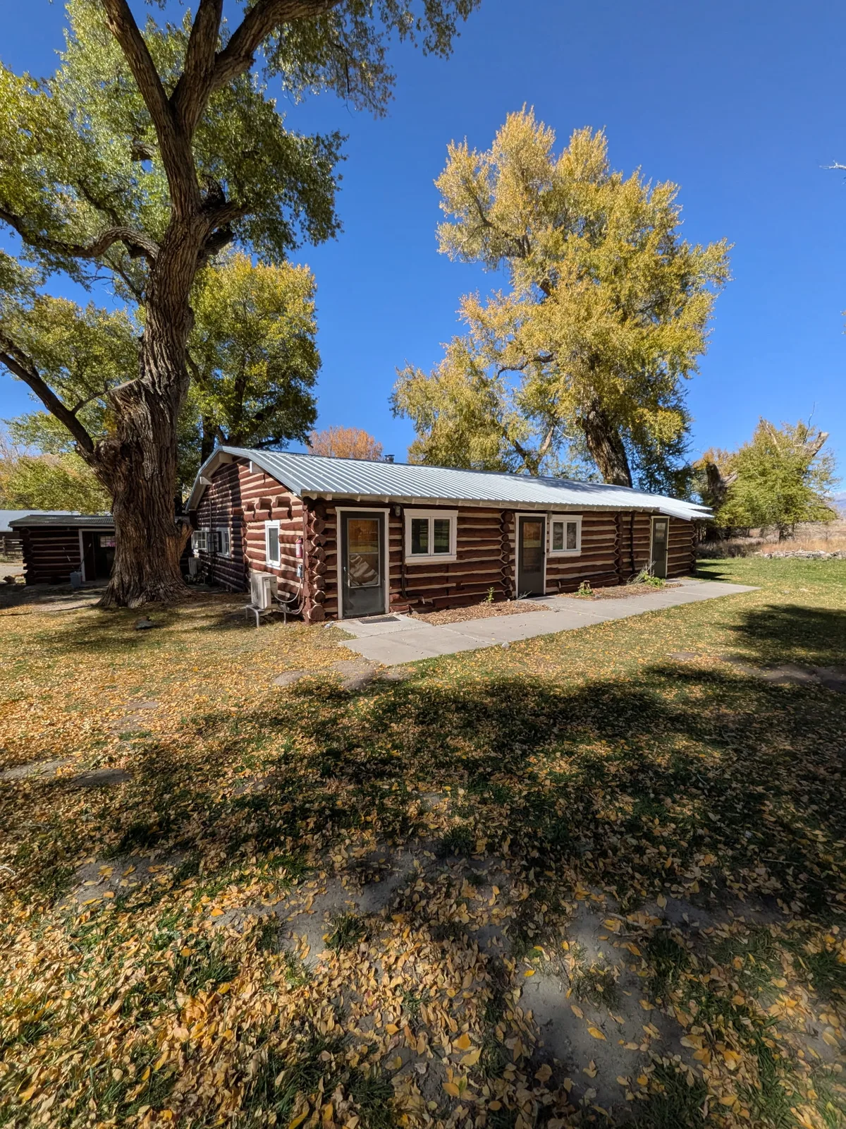 Long single-story log cabin with a metal roof beneath autumn cottonwoods at Zapata Ranch
